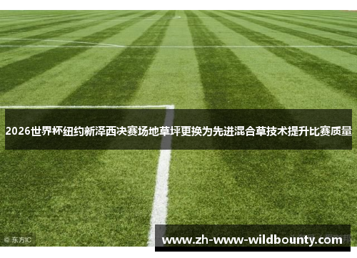 2026世界杯纽约新泽西决赛场地草坪更换为先进混合草技术提升比赛质量 2026世界杯纽约新泽西决赛场地草坪更换为先进混合草技术提升比赛质量