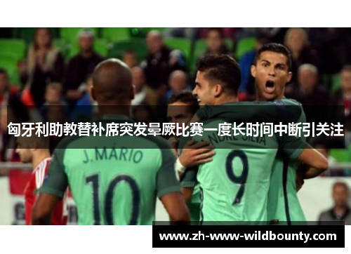 匈牙利助教替补席突发晕厥比赛一度长时间中断引关注 匈牙利助教替补席突发晕厥比赛一度长时间中断引关注